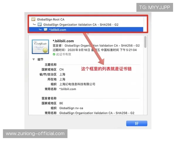 凯时登录首页：详细步骤解析确保每位用户顺利登录体验