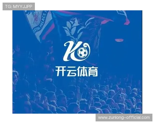 开云体育平台评价：平台稳定性与技术支持的真实体验