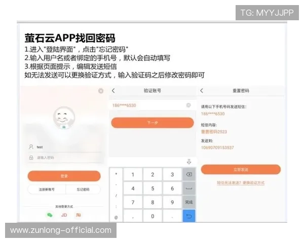 开云手机版会员登录账号忘记密码的快速重置技巧