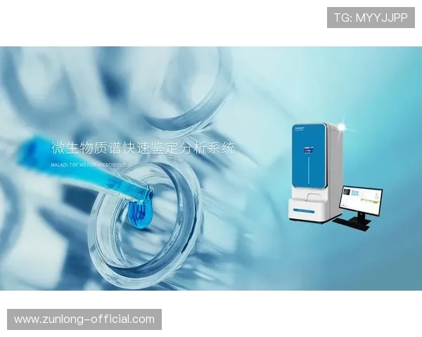 尊龙凯时在线官方平台全面升级，优化用户体验，打造最专业的线上娱乐平台