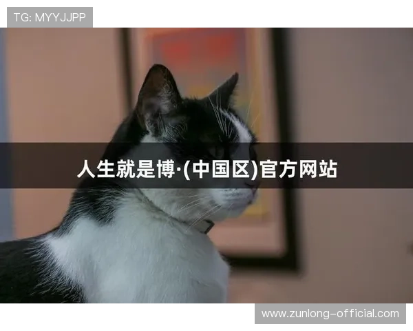 尊龙人生就是博首页安全技术保障方案，采用先进技术确保平台安全稳定运行