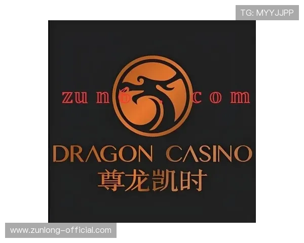 尊龙凯时ag旗舰厅试玩安全保障措施确保玩家资金与个人信息的双重安全