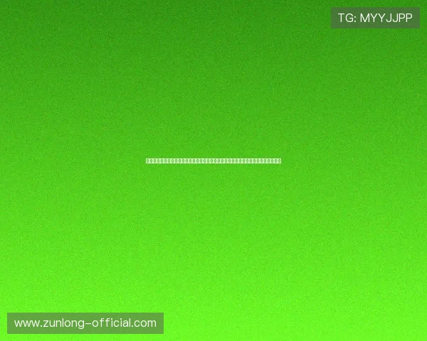 尊龙凯时旗舰厅官方地址官方入口推荐，保障玩家账号安全与游戏顺畅体验的最佳途径