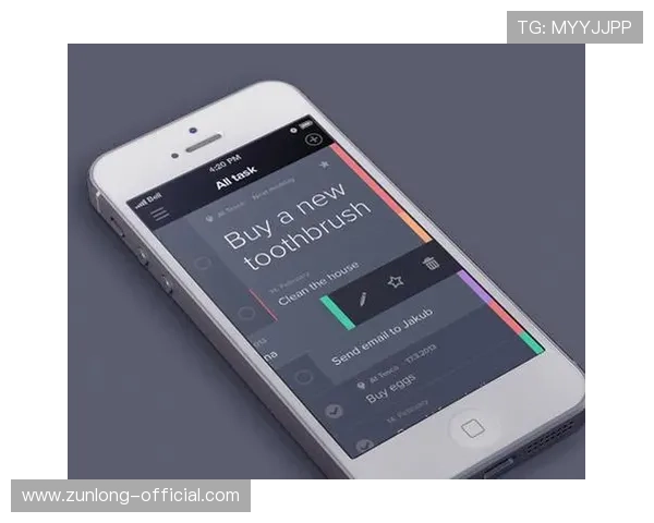 深度探讨尊龙线上国际的用户体验与界面设计